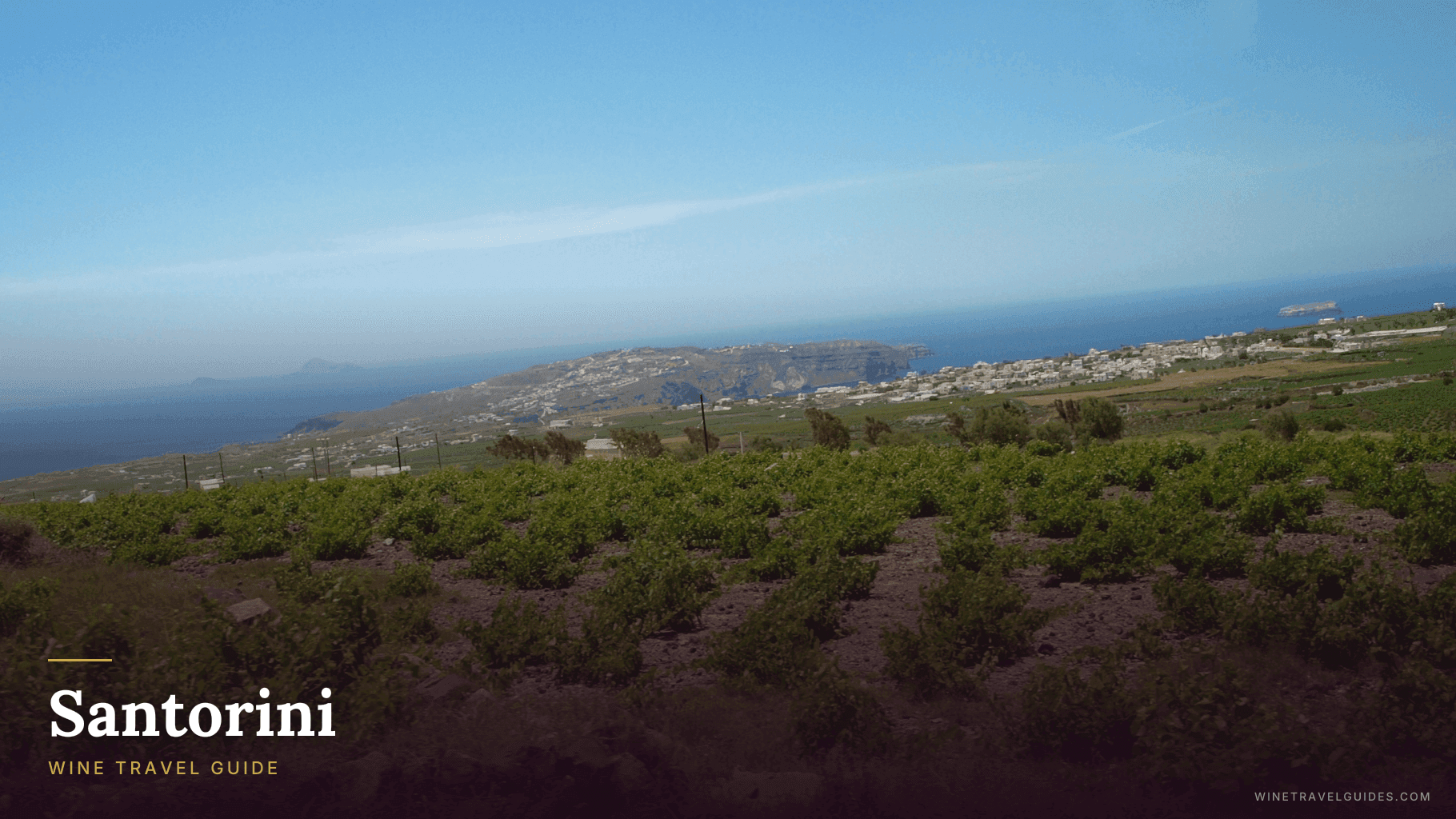 Santorini Wine Travel Guide (Aegean Islands, Greece)