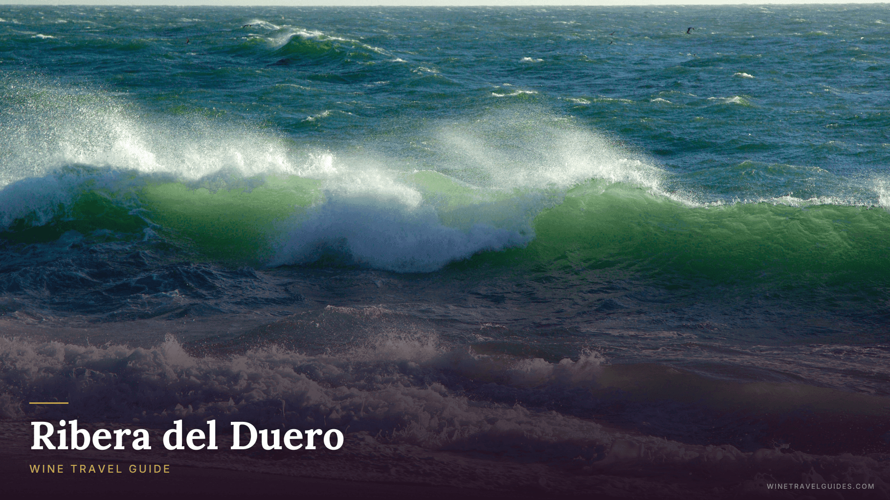 Ribera del Duero
