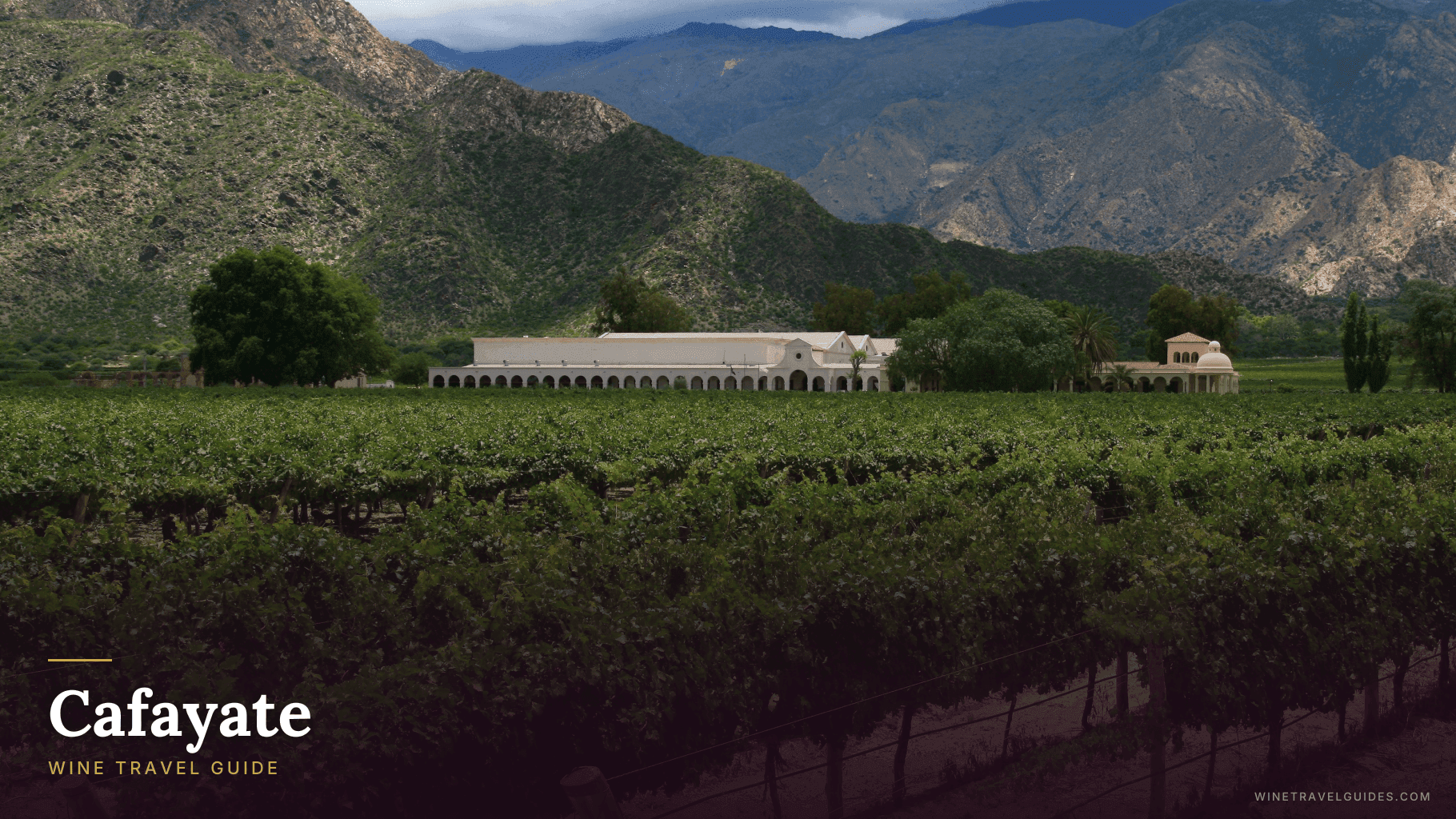 Cafayate Wine Travel Guide (Salta, Argentina)