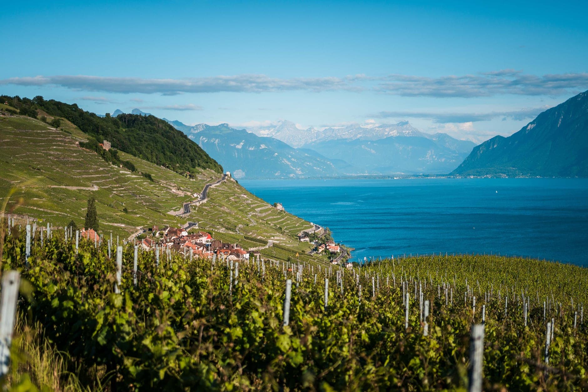 Lavaux Wine Travel Guide (Vaud, Switzerland)