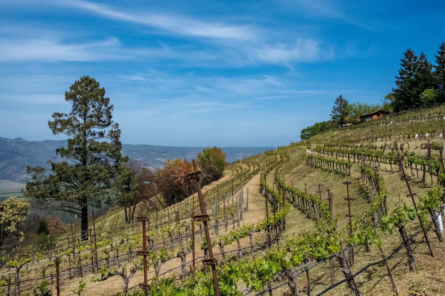 Where To Stay In Napa Valley