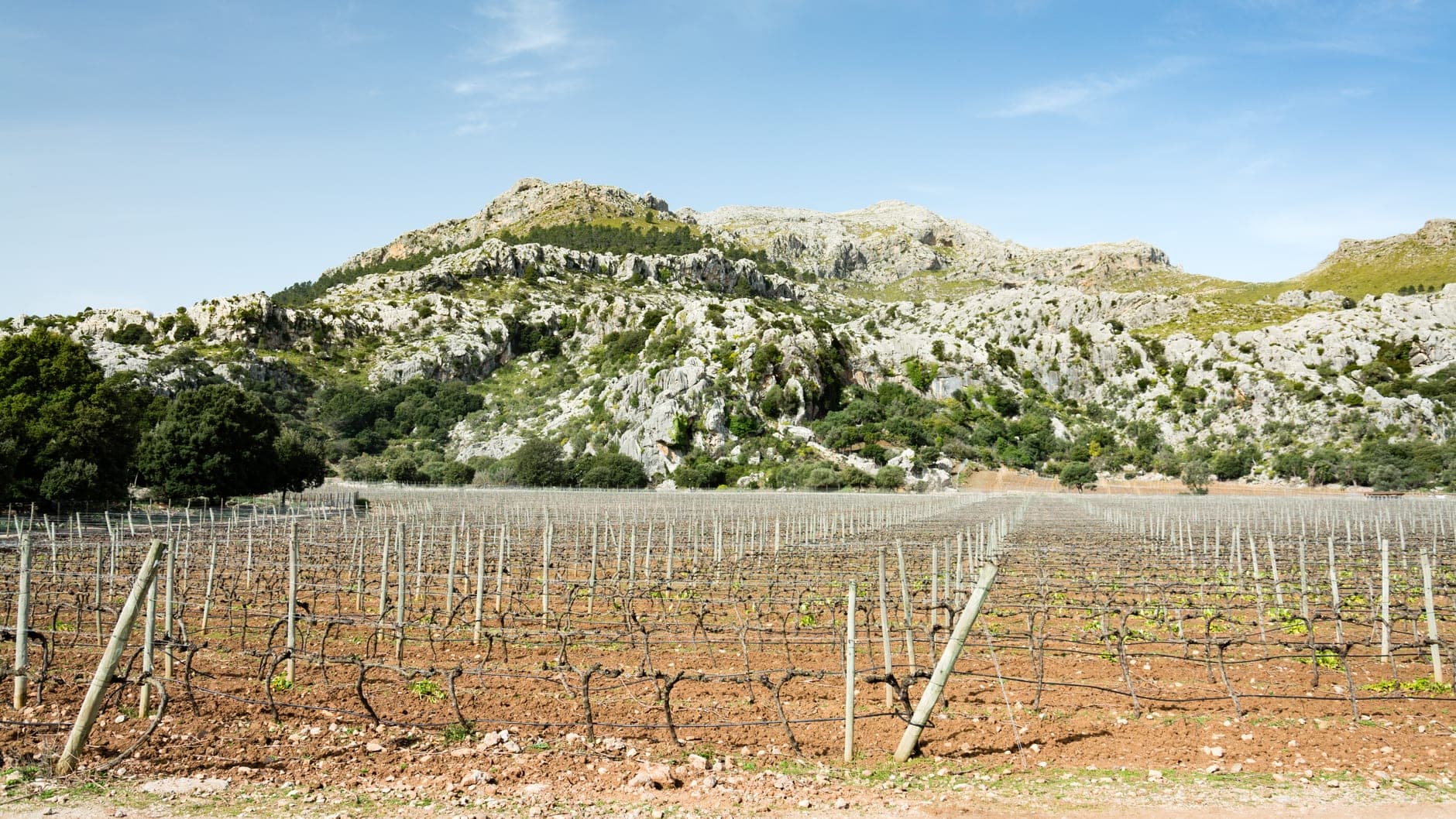 Balearic Islands