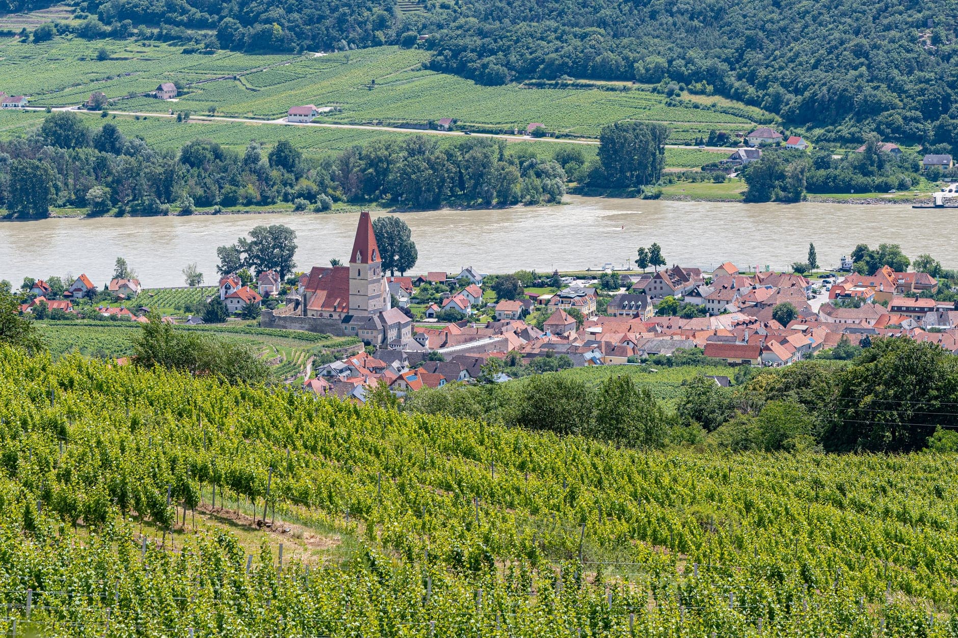 Wachau Wine Travel Guide (Niederösterreich, Austria)
