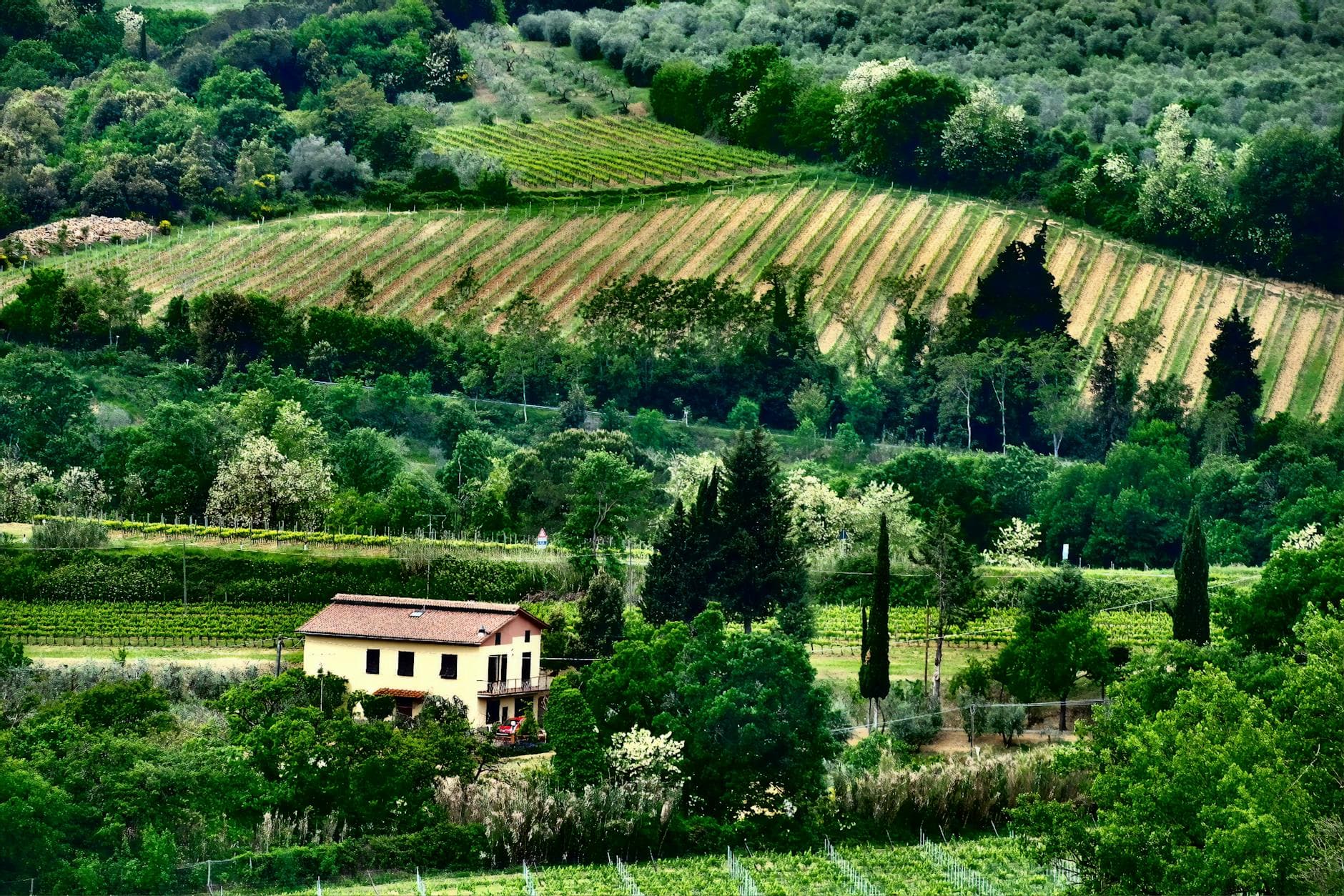 Where to Stay in Alsace Wine Country: Complete 2026 Guide