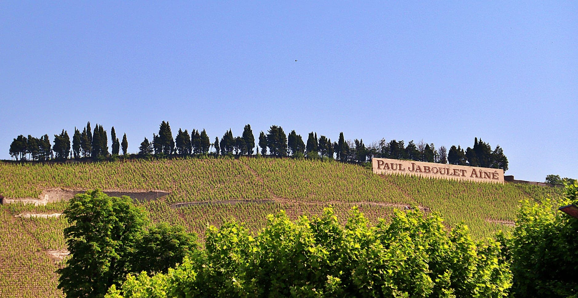 Tain-l'Hermitage Wine Travel Guide (Rhône Valley, France)