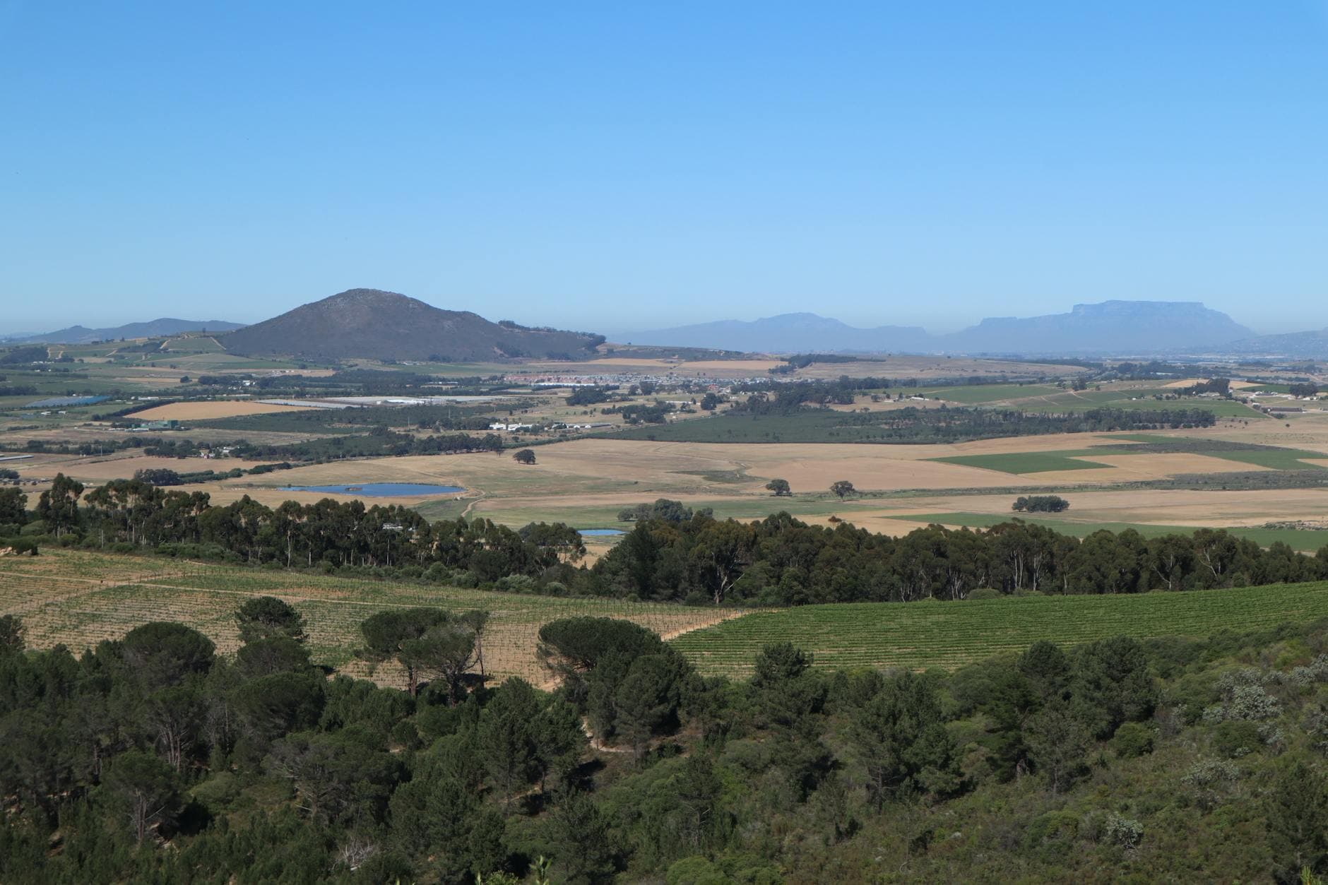 Cape Winelands (Paarl/Wellington)