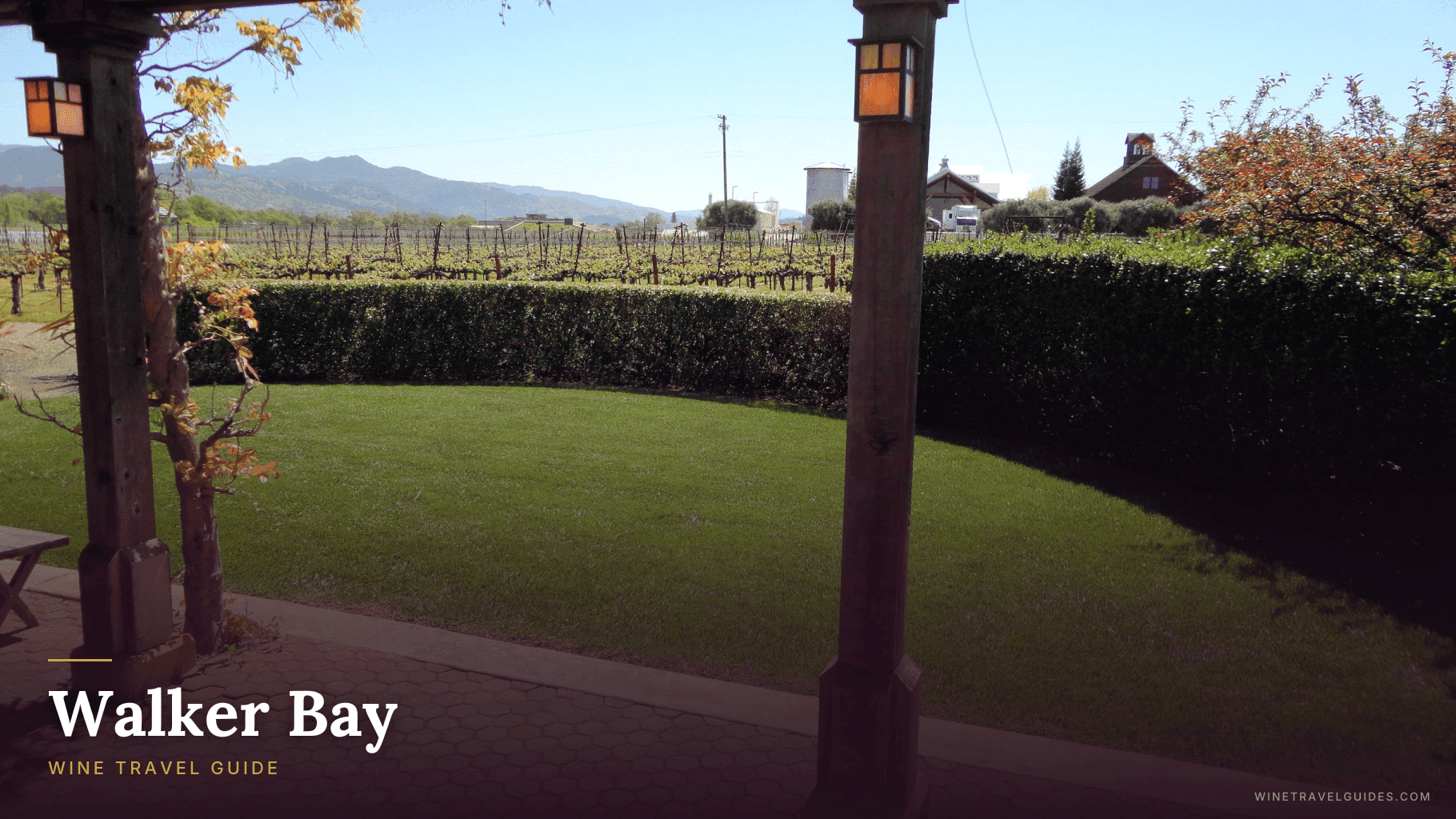 Walker Bay Wine Travel Guide (Western Cape, South Africa)