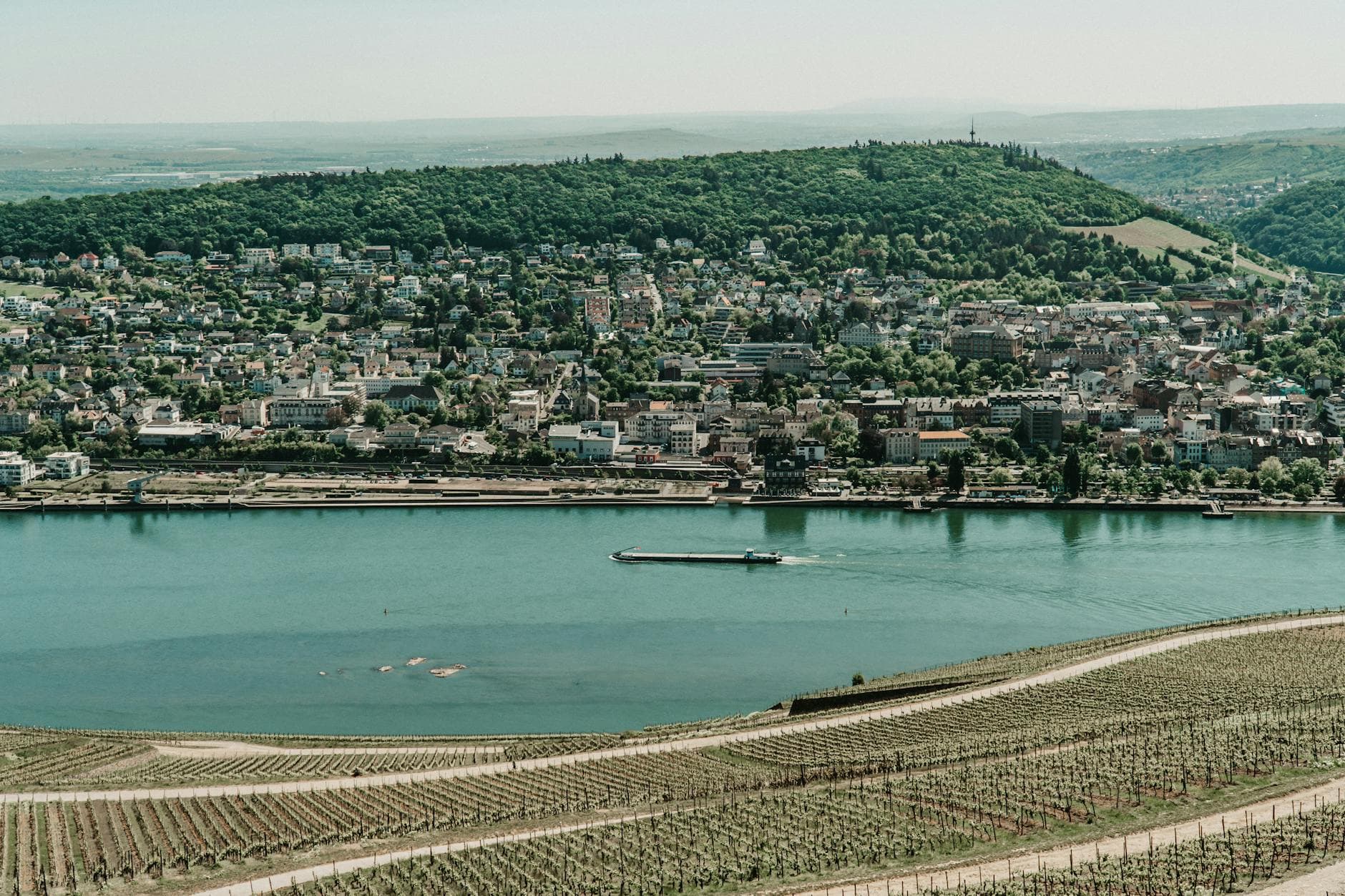 7 Days on the German Wine Route — Mosel, Rhine & Pfalz