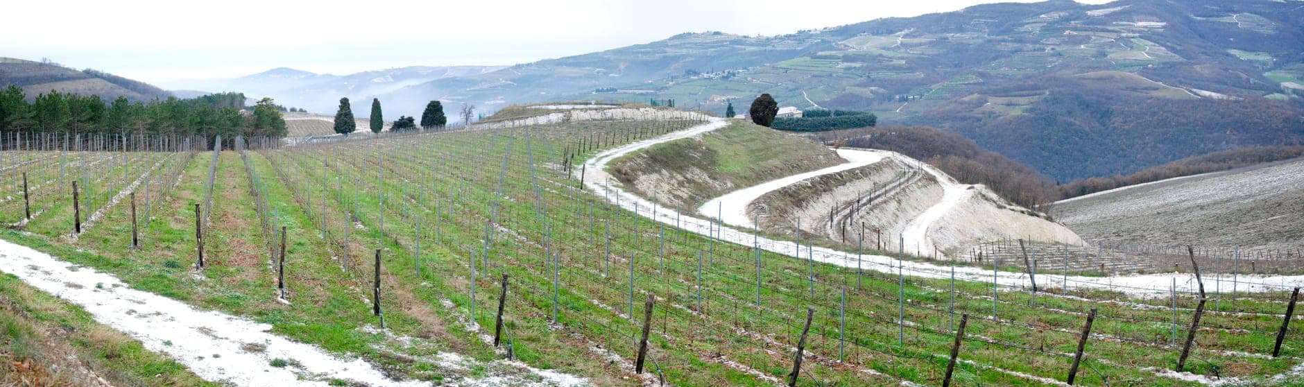 Valpolicella Wine Travel Guide (Veneto, Italy)