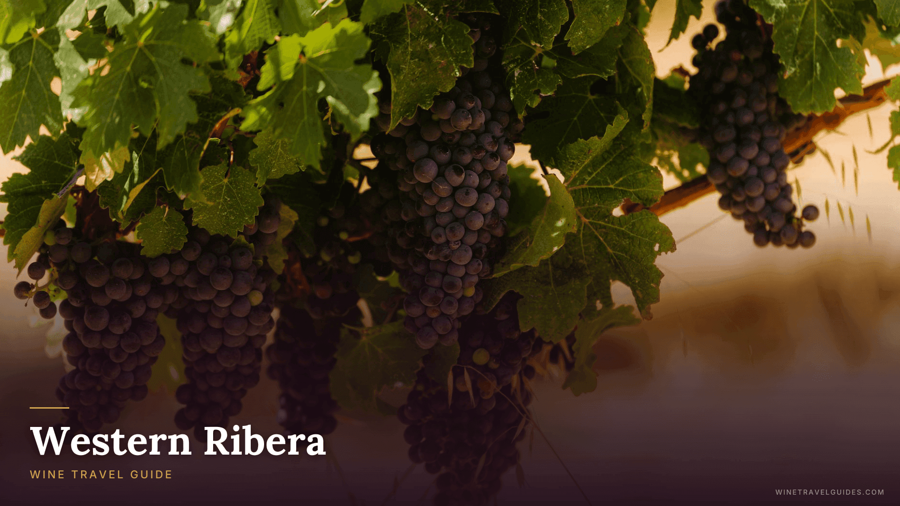 Western Ribera Wine Travel Guide (Ribera del Duero, Spain)