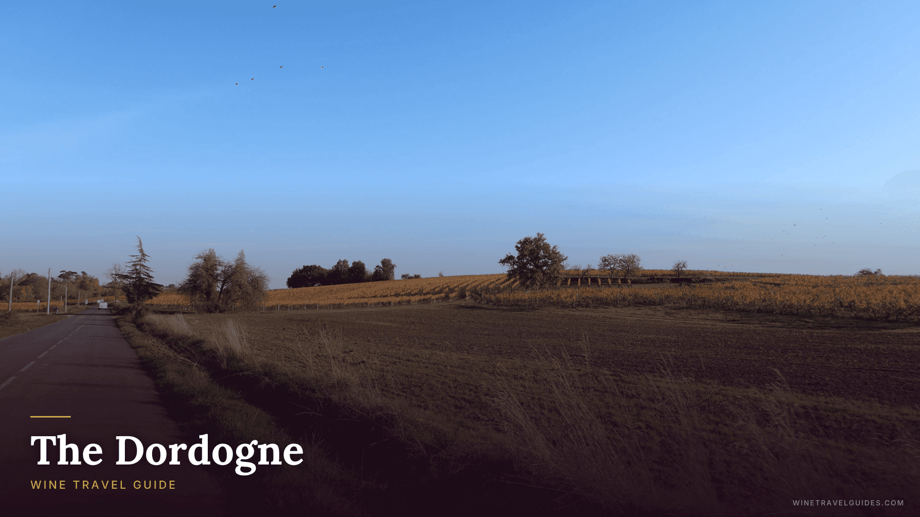 The Dordogne Wine Travel Guide (South-West France)