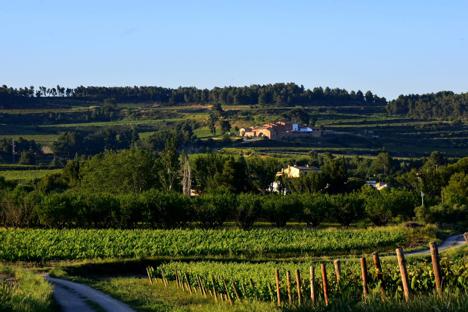 Penedès Wine Travel Guide (Catalonia, Spain)