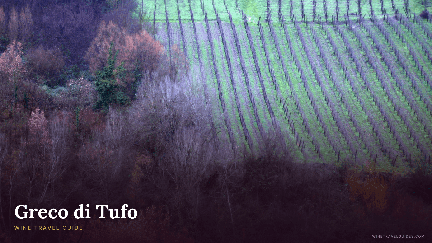 Greco di Tufo Wine Travel Guide (Campania, Italy)