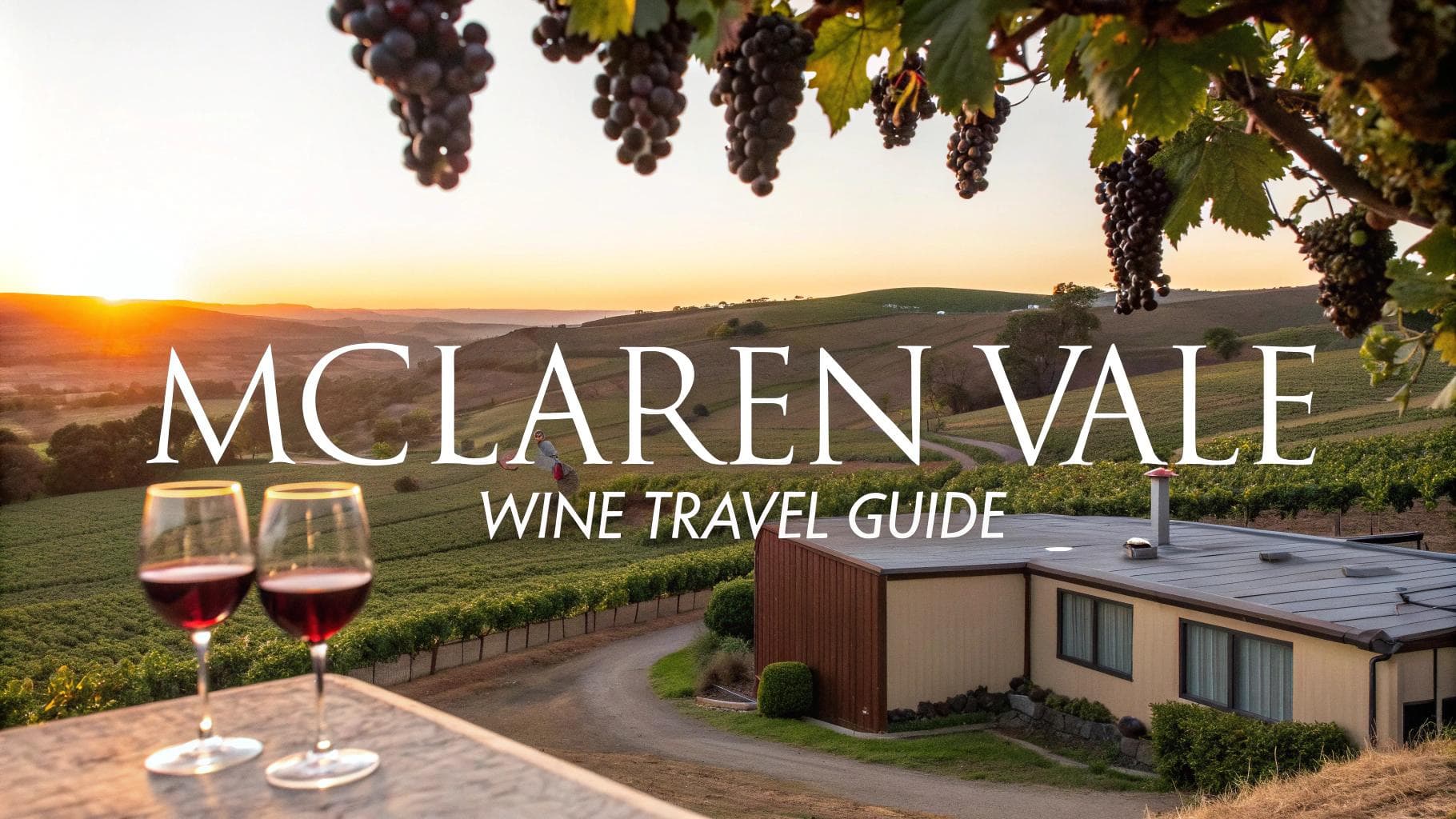 McLaren Vale Wine Travel Guide (South Australia, Australia)