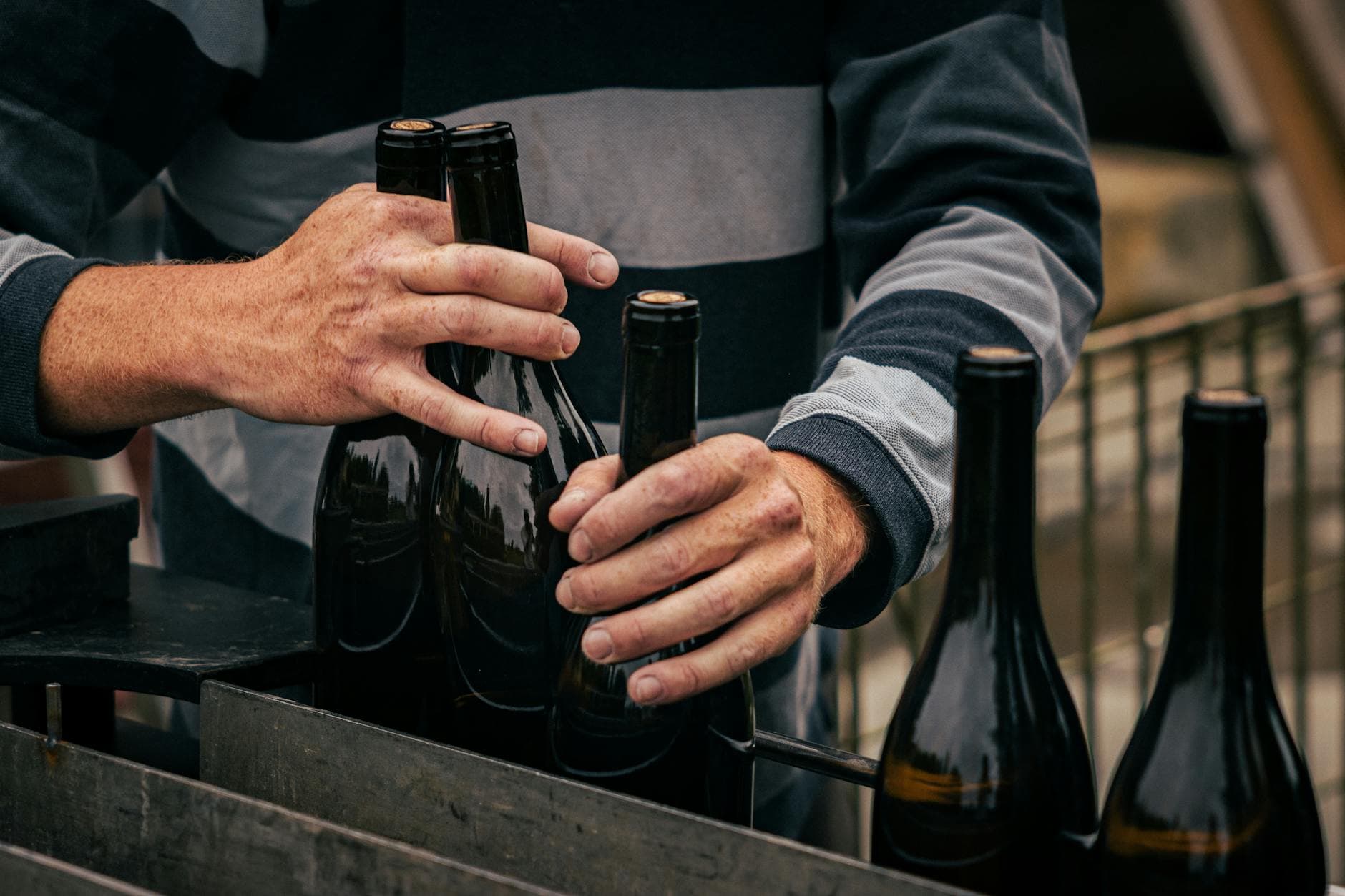 Wine Festivals in Europe: Autumn 2026 Calendar (September, October & November)