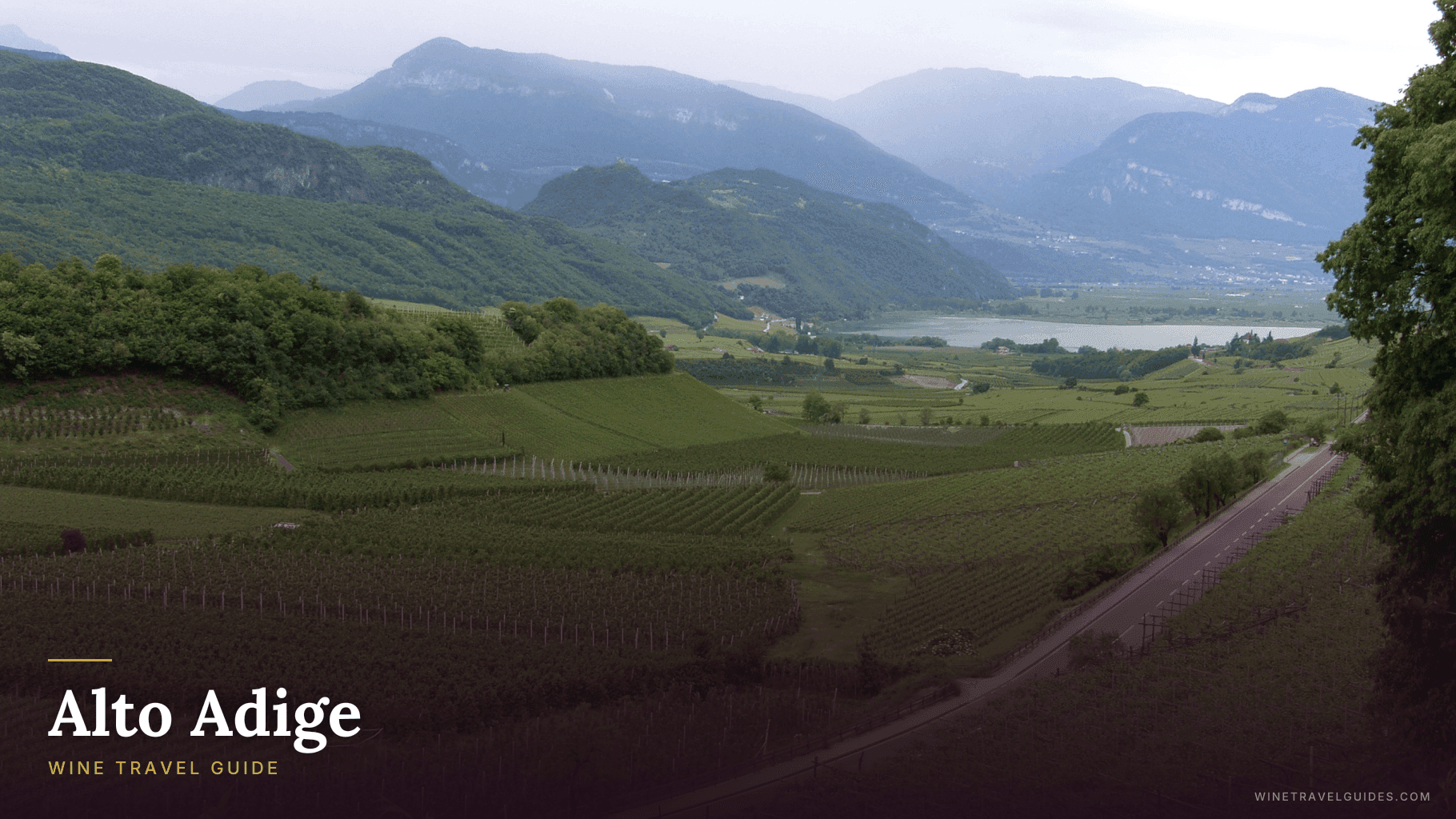 Alto Adige Wine Travel Guide (Trentino-Alto Adige, Italy)