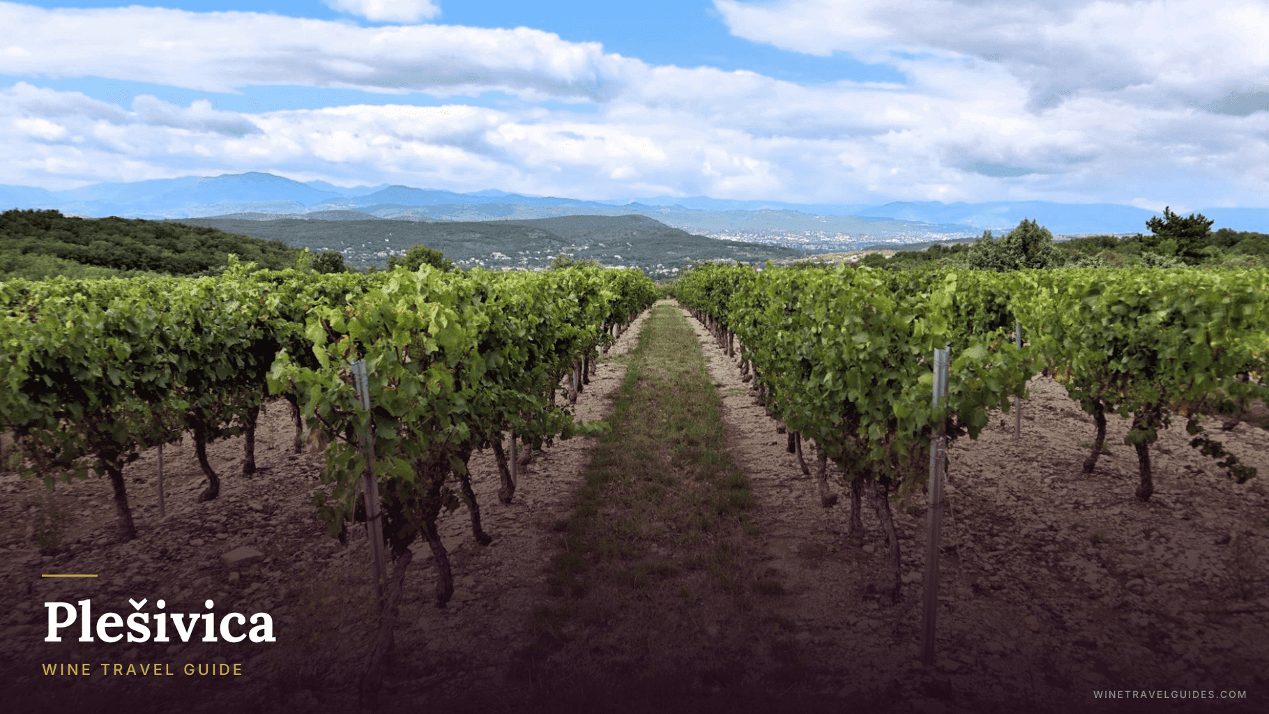 Plešivica Wine Travel Guide (Croatian Uplands, Croatia)