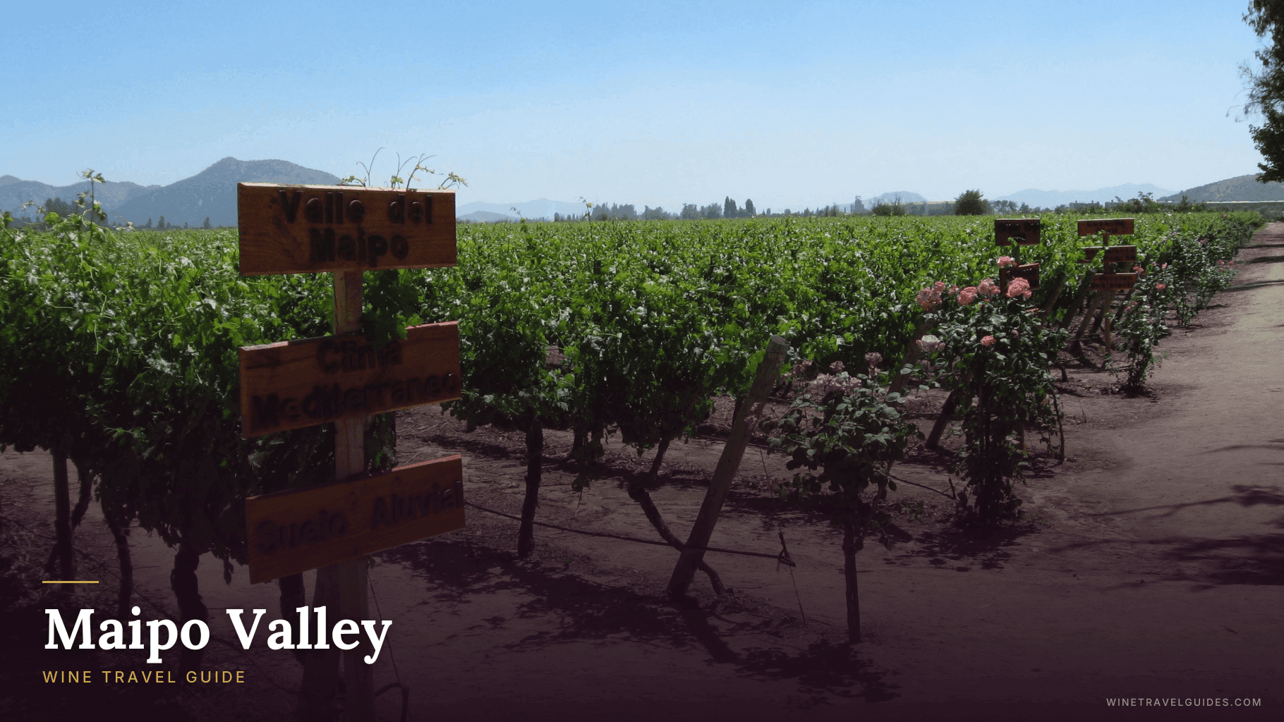 Maipo Valley Wine Travel Guide (Central Valley, Chile)