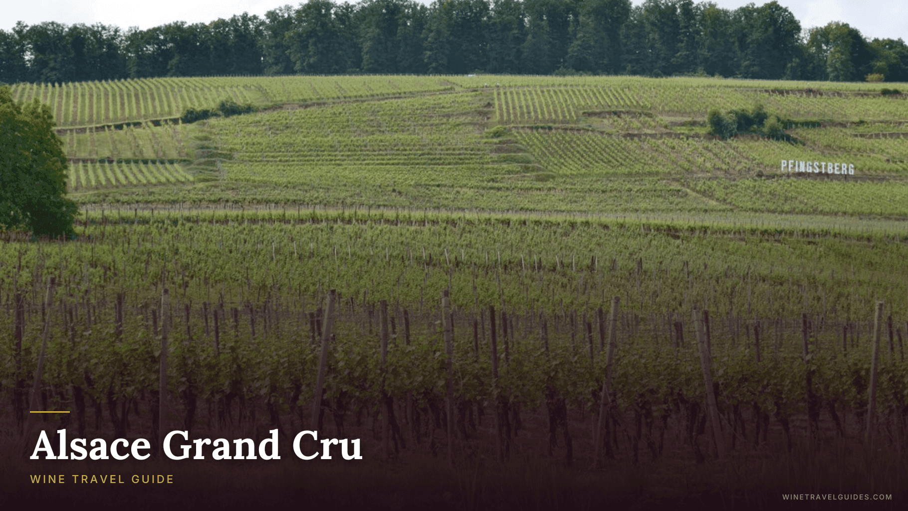 Alsace Grand Cru Wine Travel Guide (Alsace, France)