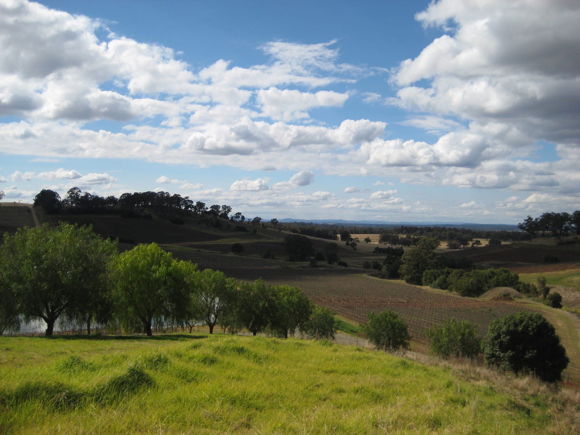 Hunter Valley Wine Travel Guide (New South Wales, Australia)