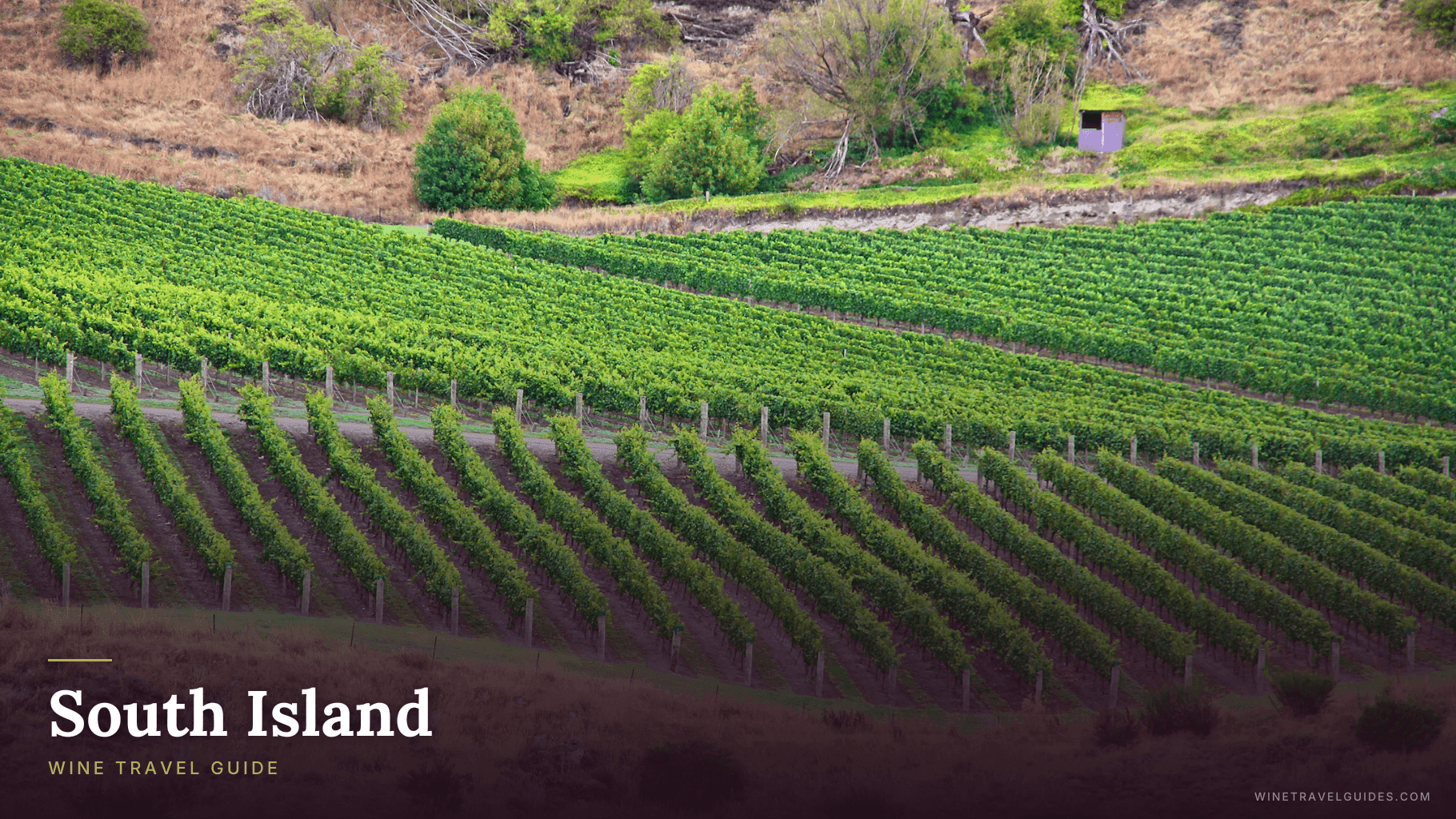 South Island (New Zealand)