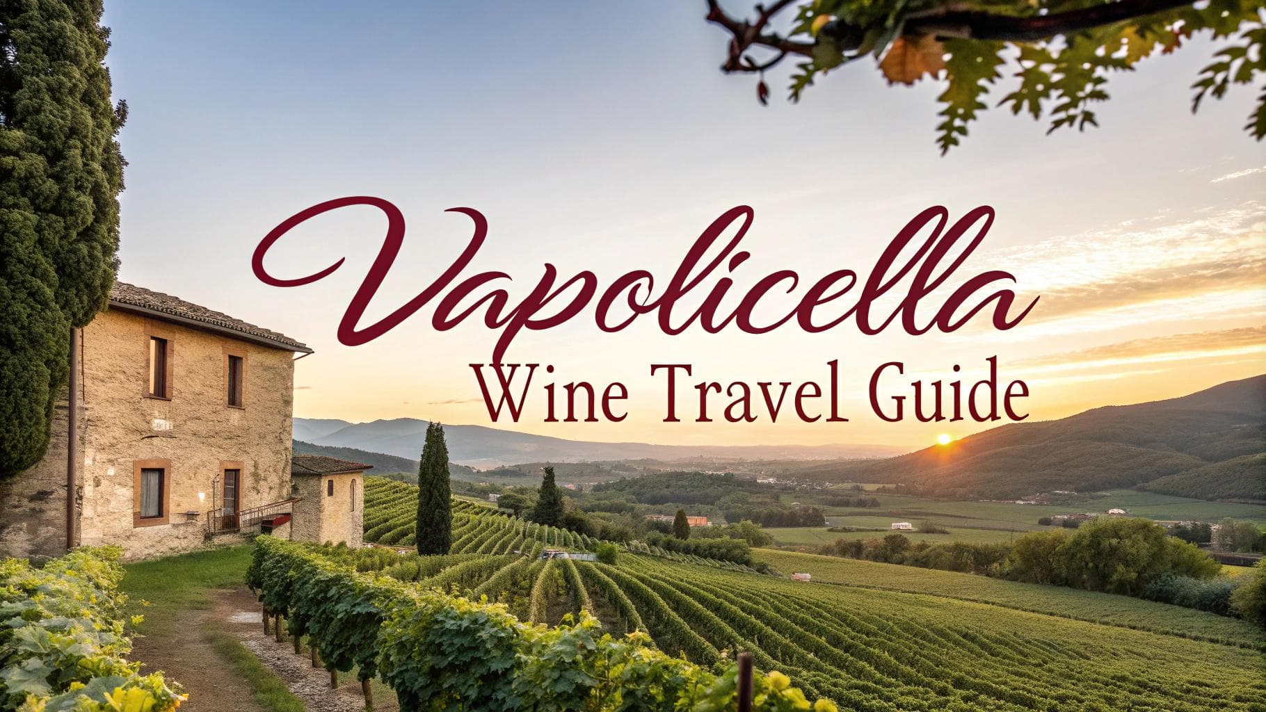Valpolicella Wine Travel Guide (Veneto, Italy)