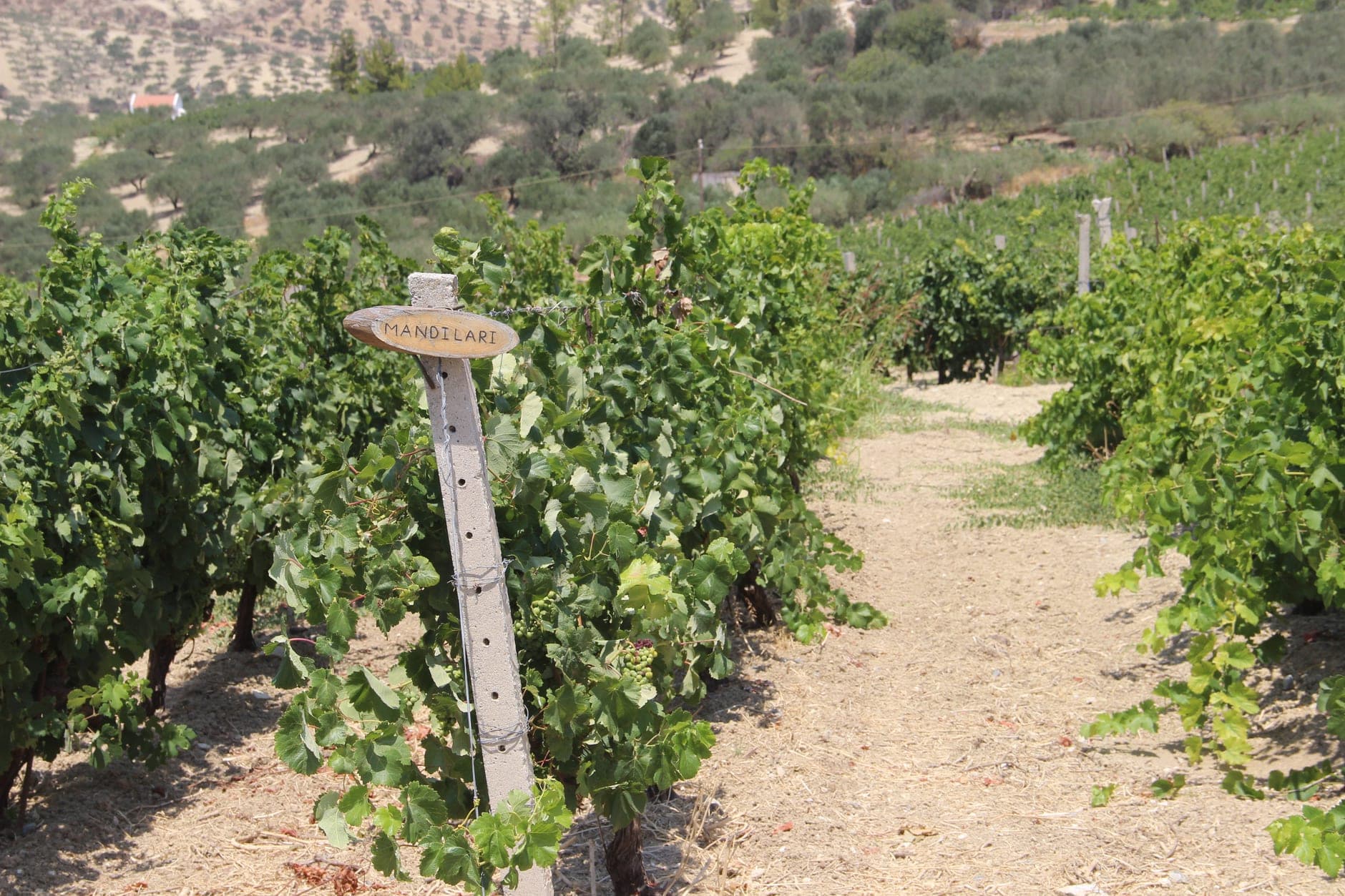 Crete (Greece)
