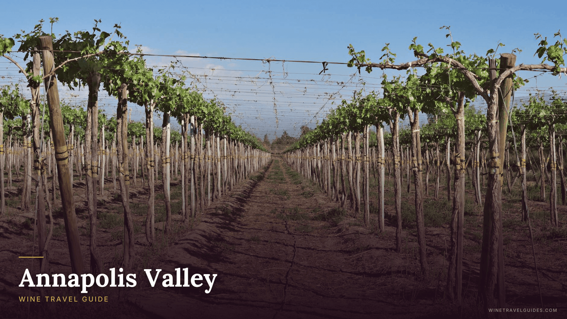 Annapolis Valley Wine Travel Guide (Nova Scotia, Canada)