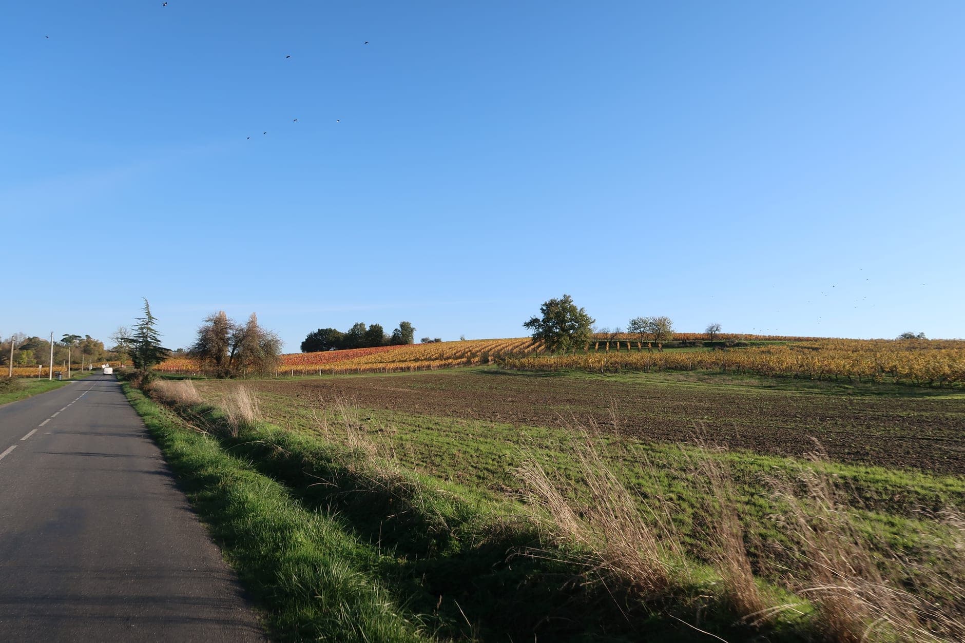The Dordogne Wine Travel Guide (South-West France)