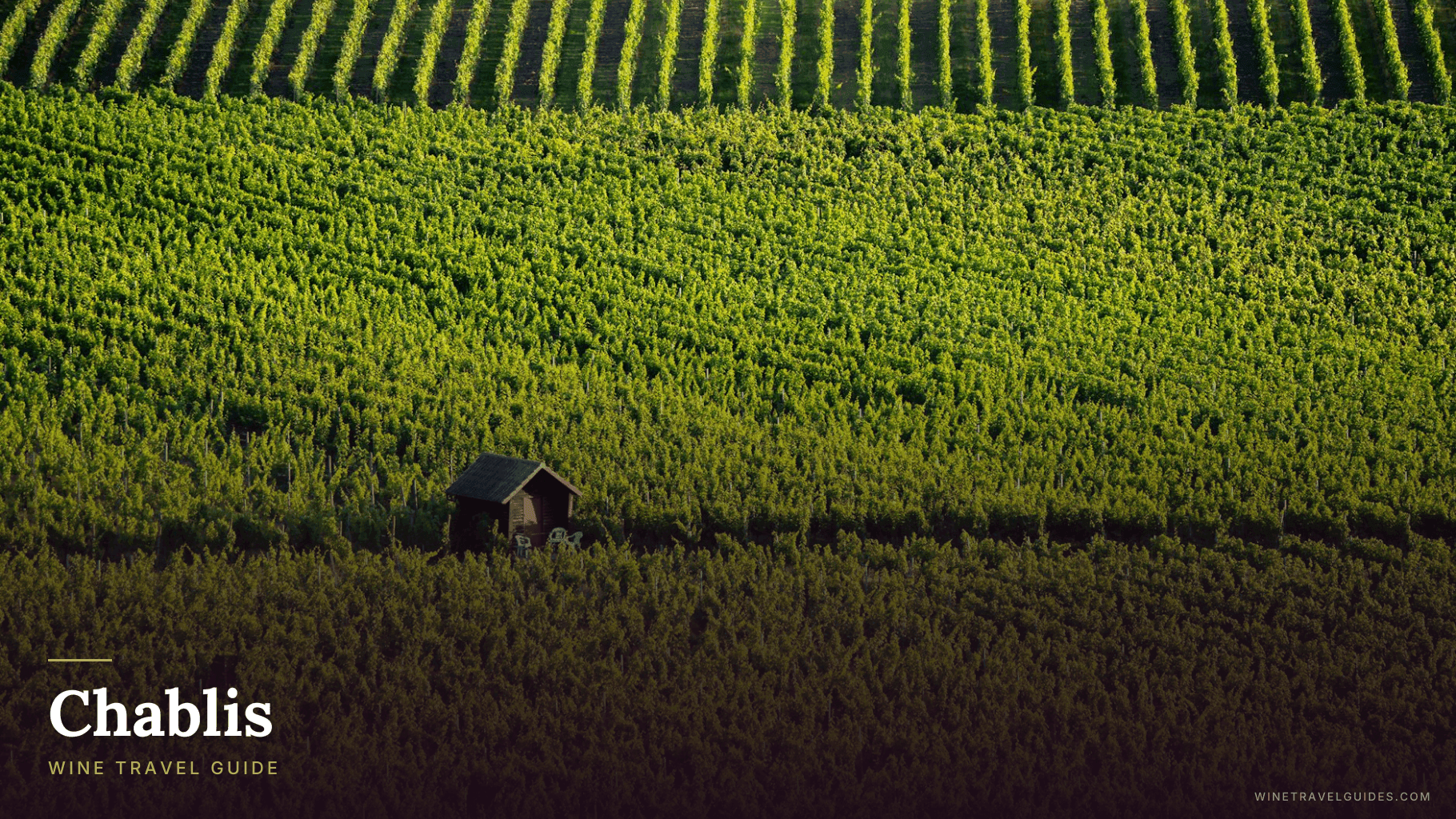 Chablis Wine Travel Guide (Burgundy, France)