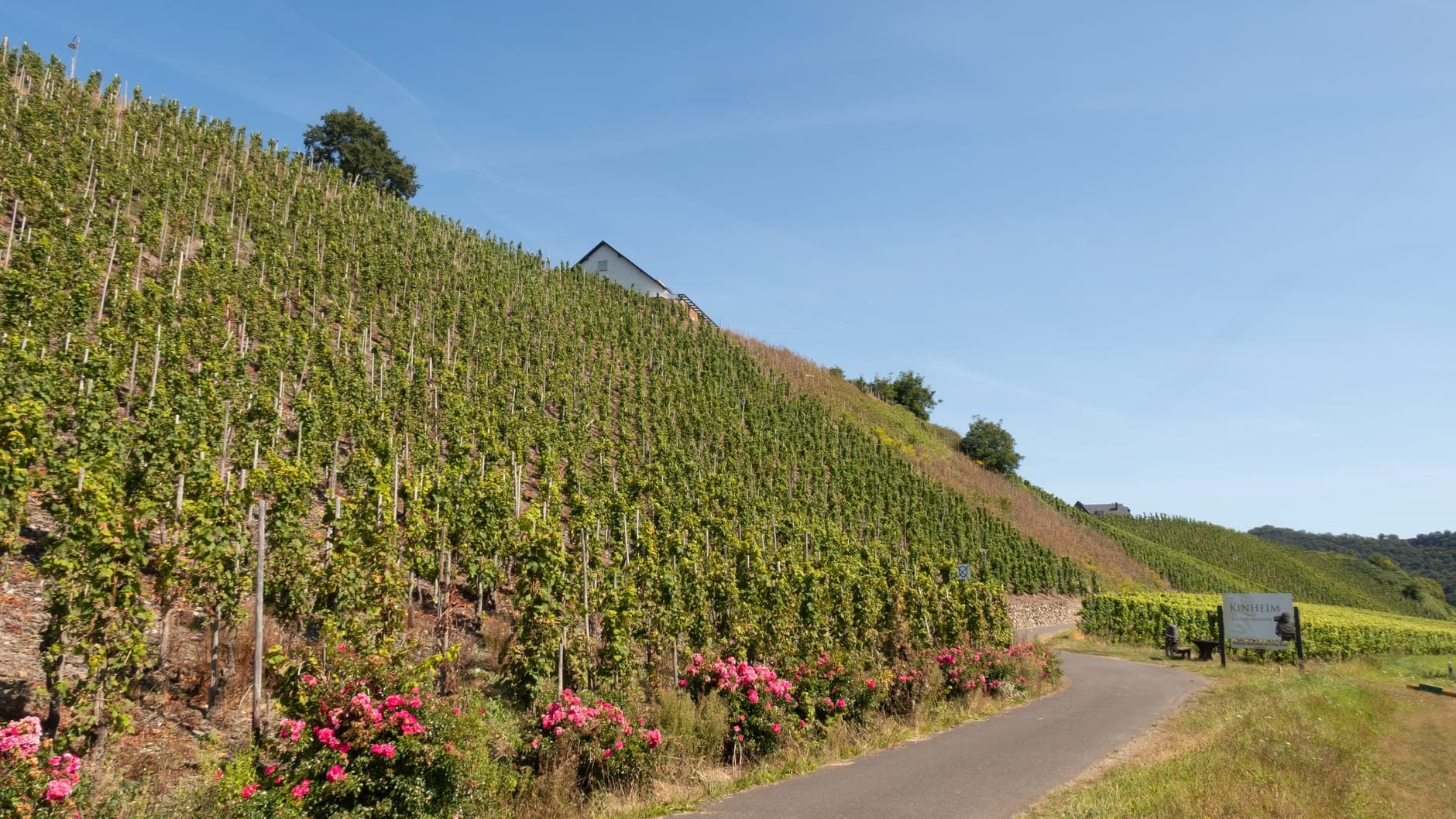 Bernkastel Wine Travel Guide (Mosel, Germany)