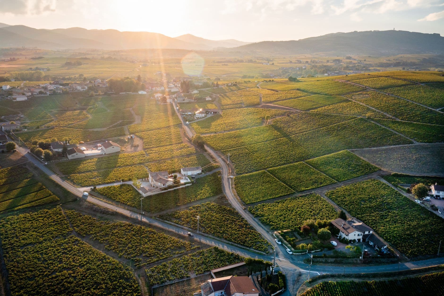 Beaujolais