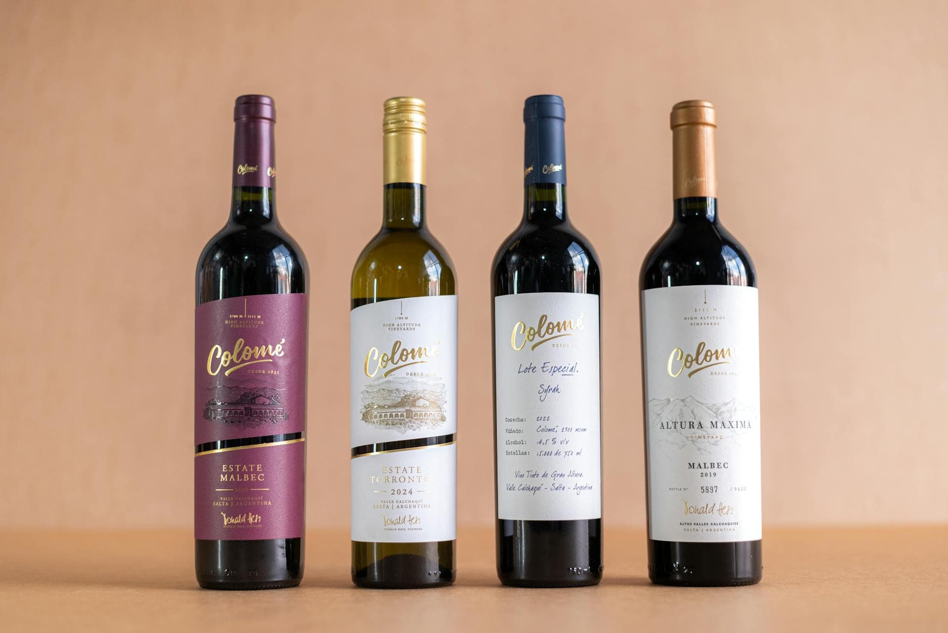 South West France Wine Guide: Cahors, Bergerac, Gascony & Beyond