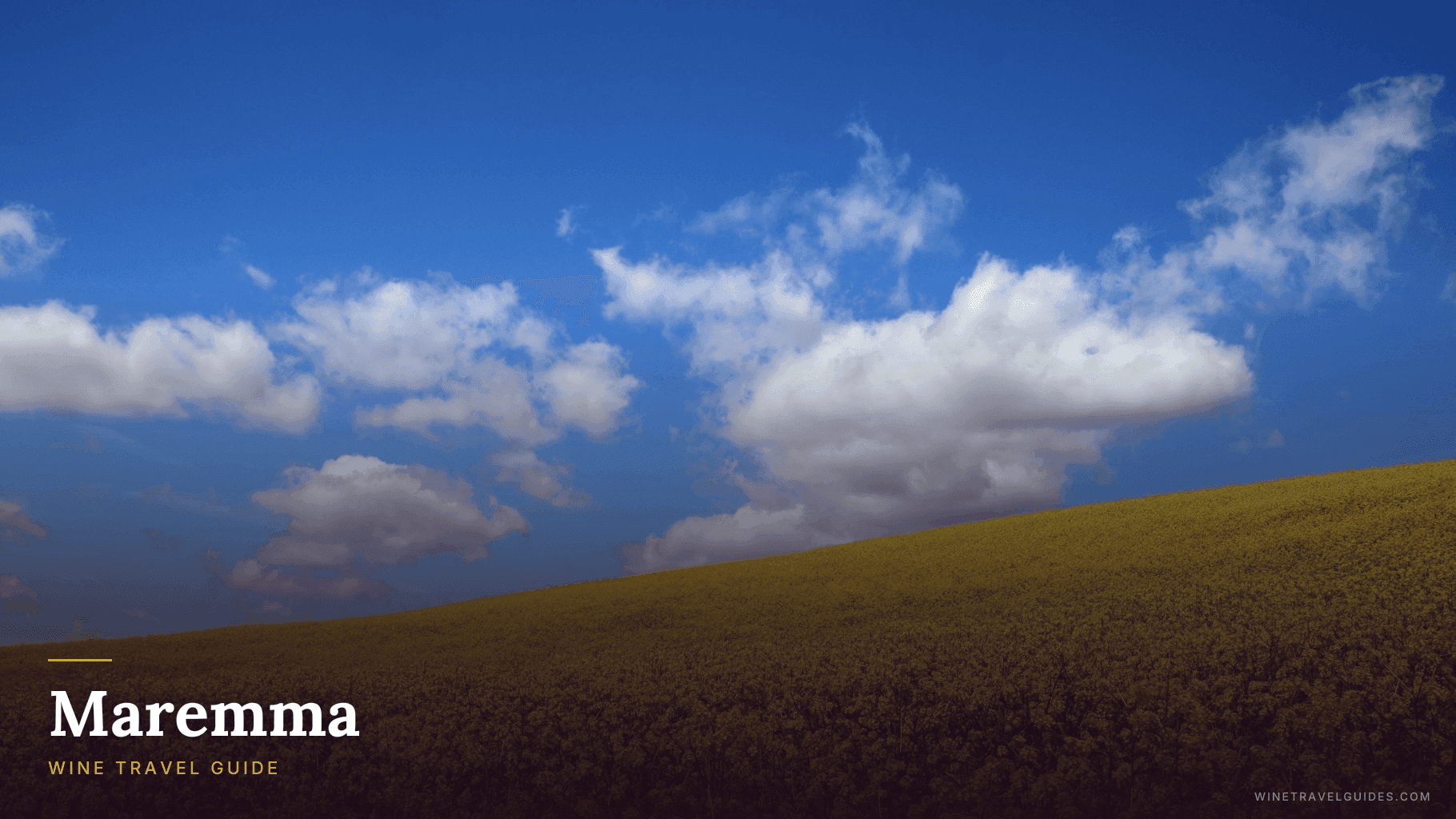 Maremma Wine Travel Guide (Tuscany, Italy)