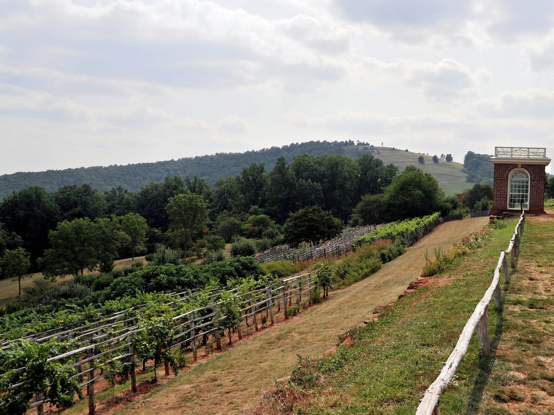 Monticello Wine Travel Guide (Virginia, United States)