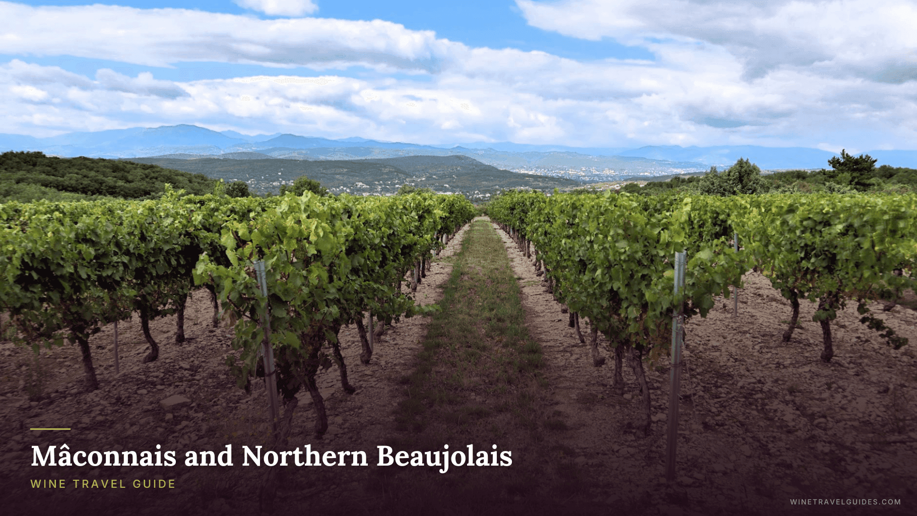 Mâconnais and Northern Beaujolais Wine Travel Guide (Burgundy, France)